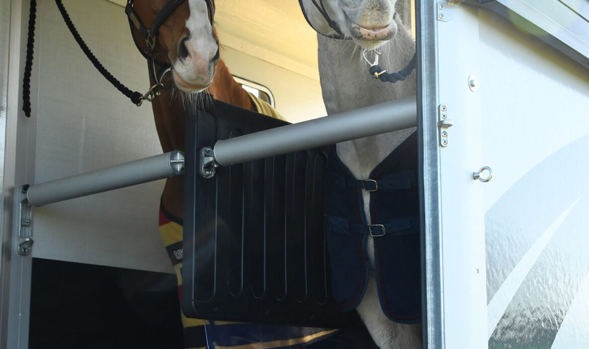 Horses in Apollo Horse Trailer