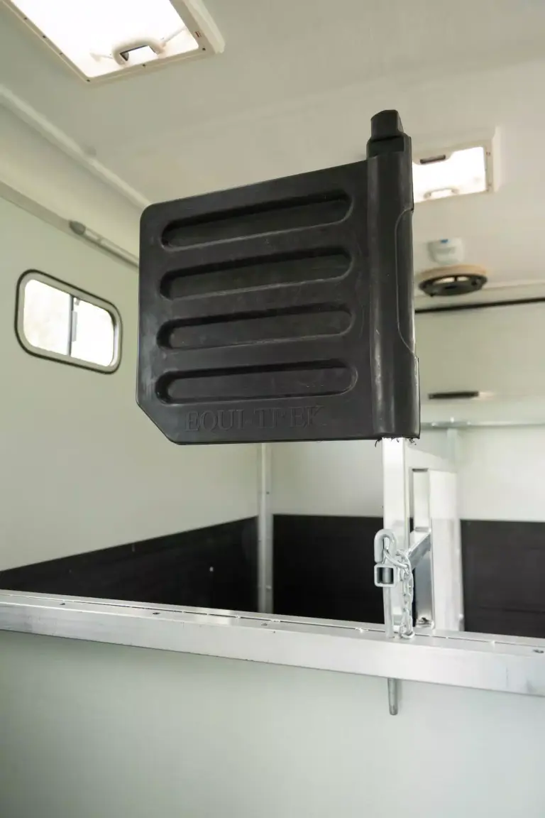 Sonic Horsebox