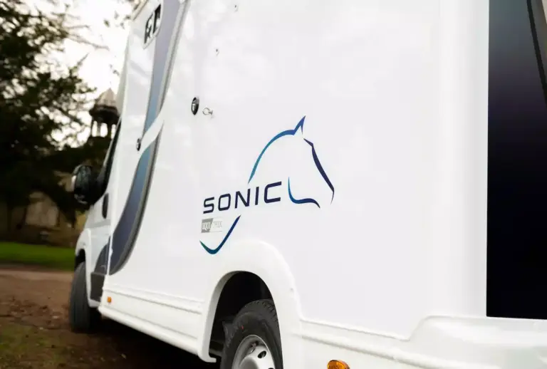 Sonic