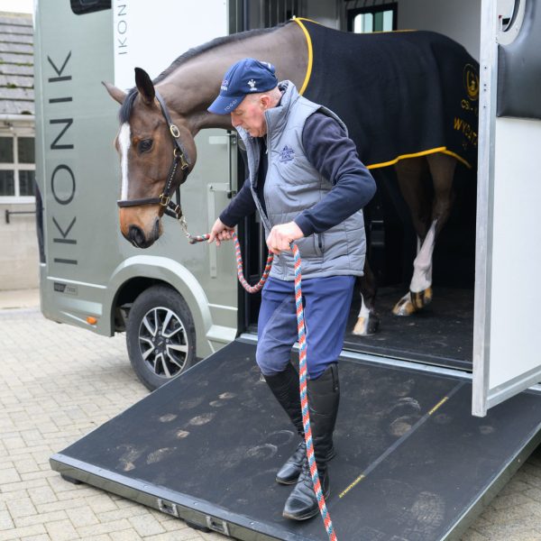 Horse-Walking-out-of-trailer