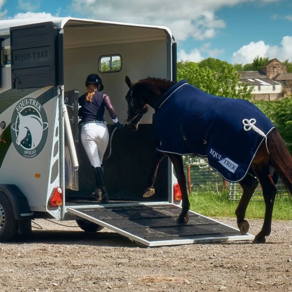 Horse-walking-into-trailer