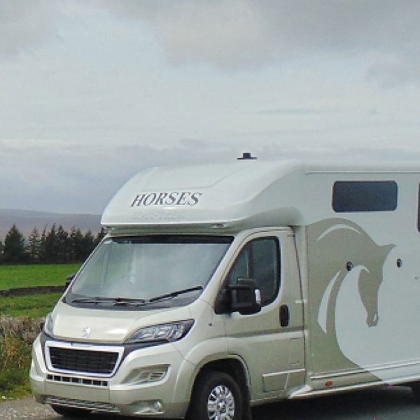 Sonic-horsebox